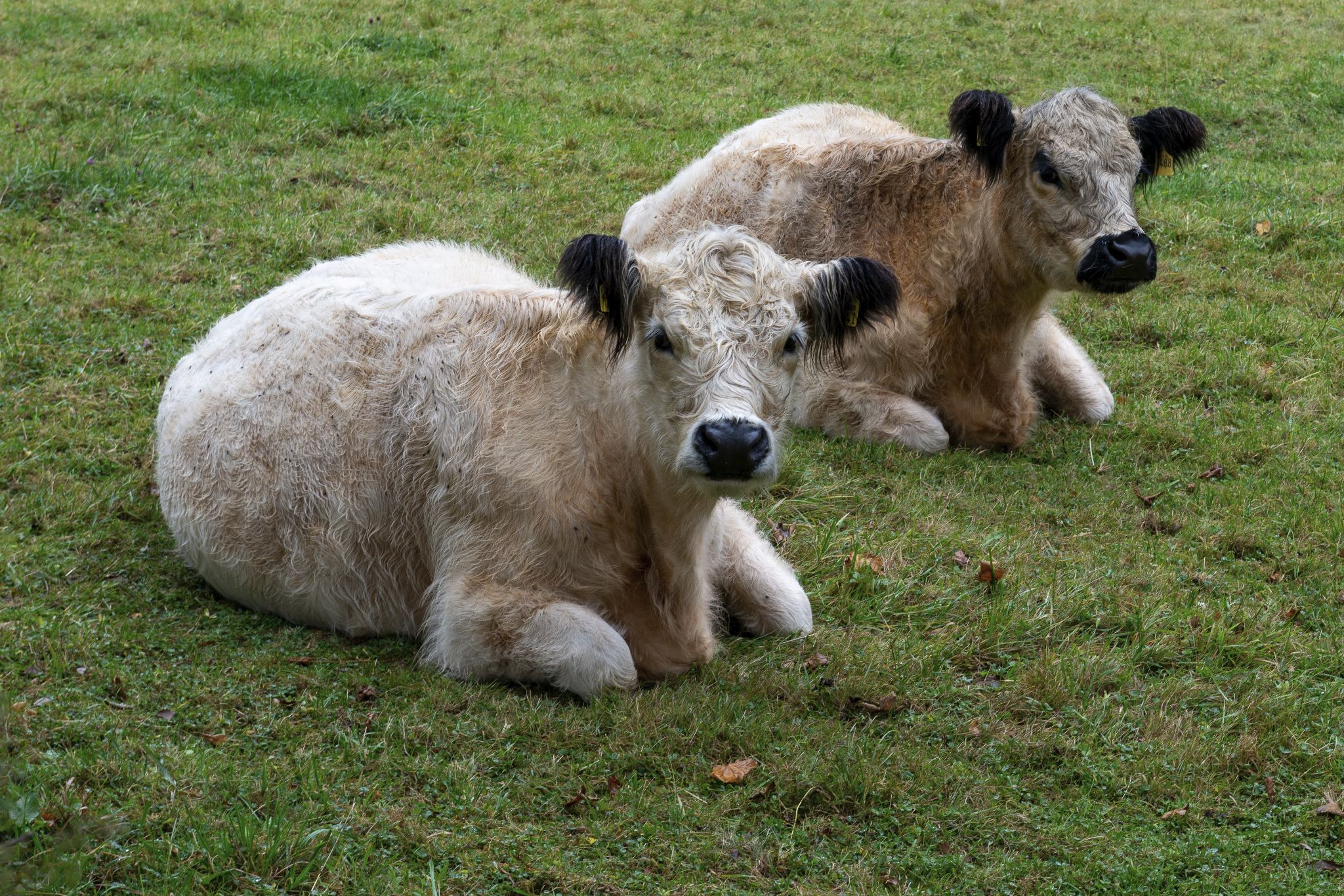 Lahn Radtour 2024 010